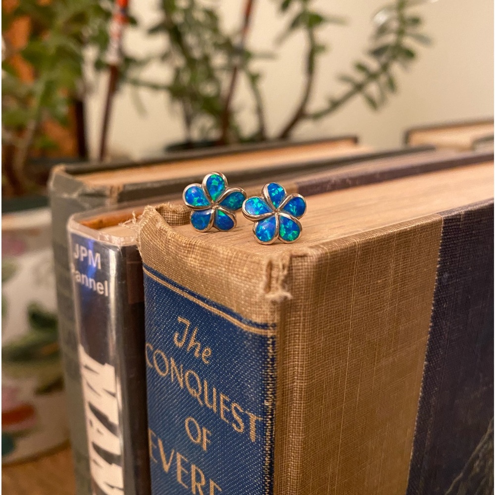 Gorgeous Sparkly Earrings from Hawaii 🌺